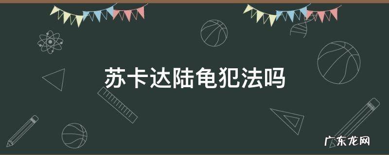苏卡达陆龟犯法吗 卡苏达陆龟是保护动物吗
