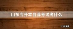 山东专升本自荐考试考什么 山东专升本自荐考试试题