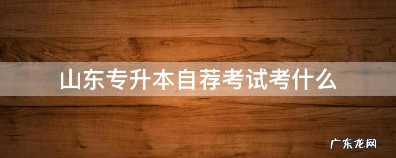 山东专升本自荐考试考什么 山东专升本自荐考试试题