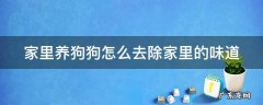 家里养狗狗怎么去除家里的味道 去除狗尿味的最佳方法