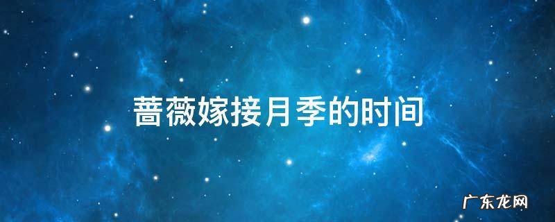 蔷薇嫁接月季最佳时间 蔷薇嫁接月季的时间