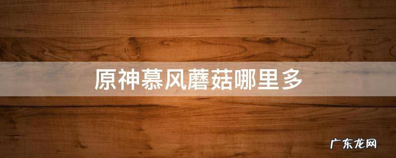 原神慕风蘑菇哪里多 原神慕风蘑菇有几个