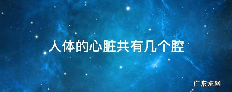 人的心脏有几个腔分别是什么 人体的心脏共有几个腔