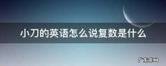 小刀的复数英文 小刀的英语怎么说复数是什么