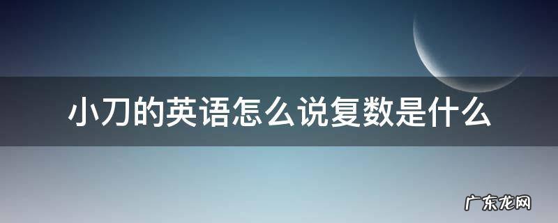 小刀的复数英文 小刀的英语怎么说复数是什么