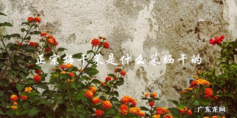 正宗梅干菜是晒干的什么菜?