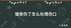 猫受伤了怎么处理伤口 猫受伤了怎么处理伤口如何包扎