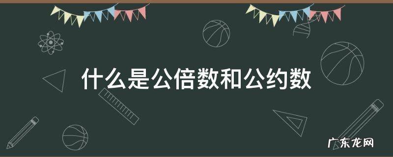什么是公倍数和公约数 什么是公倍数什么是公约数
