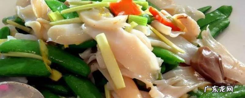 小象拔蚌怎么吃 大象蚌怎么吃