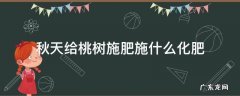 秋天给桃树施肥施什么化肥 桃树秋施基肥施什么肥
