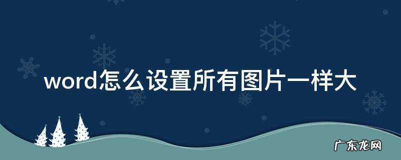 word如何调整所有图片一样大 word怎么设置所有图片一样大