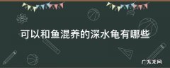 什么深水龟能和热带鱼混养 可以和鱼混养的深水龟有哪些