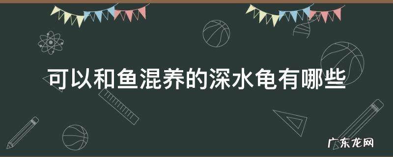 什么深水龟能和热带鱼混养 可以和鱼混养的深水龟有哪些