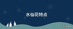 水仙花特点30字一段话 水仙花特点
