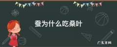 蚕为什么吃桑叶 蚕为什么吃桑叶不吃桑葚