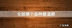 仓鼠哪个品种最温顺 仓鼠哪个品种最温顺好养
