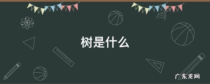 树是什么动物生肖 树是什么