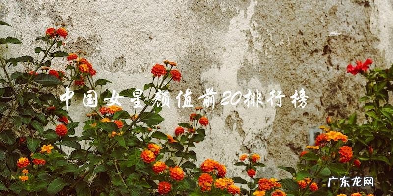 中国女星颜值排行榜前20名,谁是最美的女神?