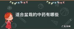 适合盆栽的中药有哪些 适合盆栽的药草