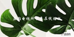 虚颜电视剧：全集在线播放，揭开真相！
