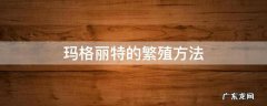 怎样种玛格丽特 玛格丽特的繁殖方法