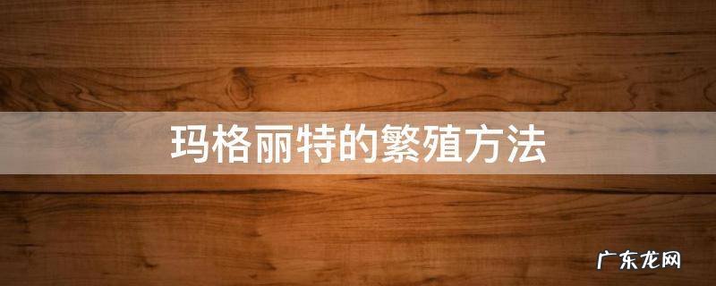 怎样种玛格丽特 玛格丽特的繁殖方法