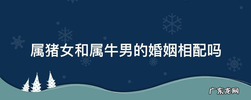 属猪女和属牛男的相配吗,婚姻状况怎么样 属猪女和属牛男的婚姻相配吗