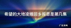 希望的大地凌娥回乡报恩是第几集