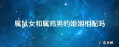 属鼠女和属鸡男的婚姻相配吗 属鼠女和属鸡男的相配吗,婚姻状况怎么样