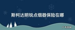 斯柯达晶锐点烟器保险丝 斯柯达明锐点烟器保险在哪