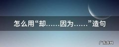怎么用“却……因为……”造句