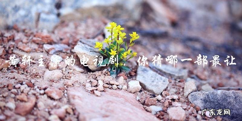 惊艳演技！黄轩主演的电视剧，你猜哪一部最让人心动？
