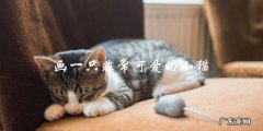 如何画一只非常可爱的小猫？
