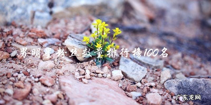 男明星粉丝数量排行榜100名