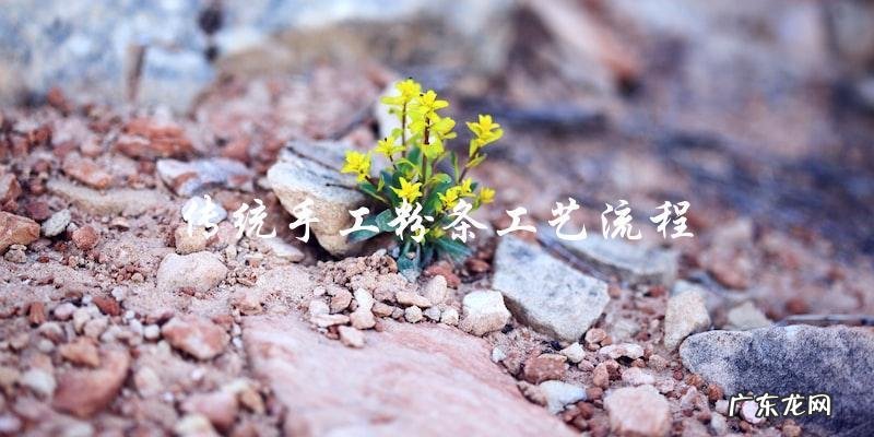 传统手工粉条的工艺流程