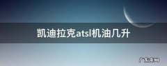 凯迪拉克atsl2.0机油加几升 凯迪拉克atsl机油几升