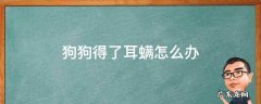 狗狗得了耳螨怎么办 狗狗得了耳螨怎么治