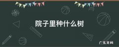 院子里种什么树风水好又旺财 院子里种什么树