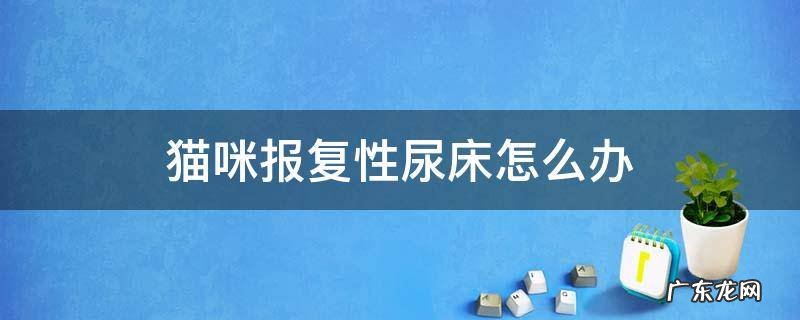 猫咪尿床是不是报复 猫咪报复性尿床怎么办