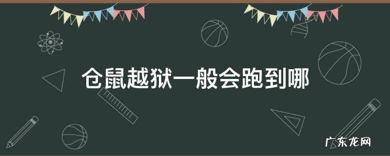 仓鼠越狱会去哪里 仓鼠越狱一般会跑到哪