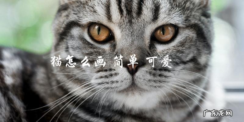 如何画出简单可爱的猫?