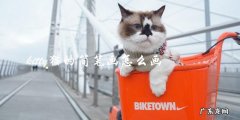 如何画kitty猫的简笔画？