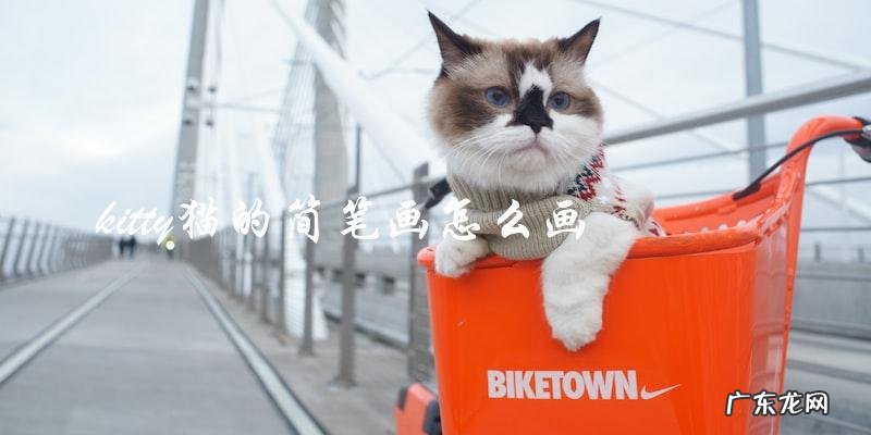如何画kitty猫的简笔画？