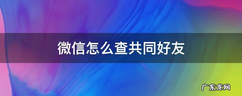 微信怎么查共同好友人数 微信怎么查共同好友