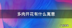 多肉开花有什么寓意 多肉开花象征着什么