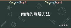 肉肉的栽培方法 肉肉的栽培技术