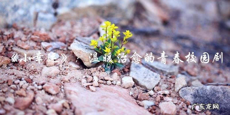 你绝对不能错过的最近热播电视剧!