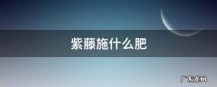 紫藤怎么施肥 紫藤施什么肥