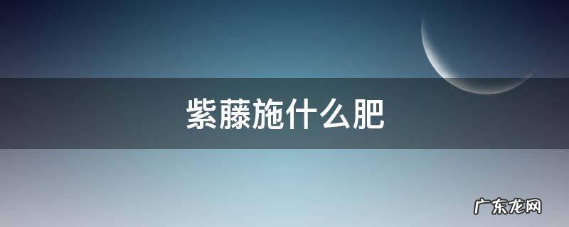 紫藤怎么施肥 紫藤施什么肥