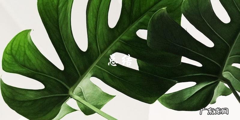 排骨酸菜汤的做法大全